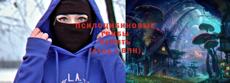 Галлюциногенные грибы Magic Shrooms Опочка